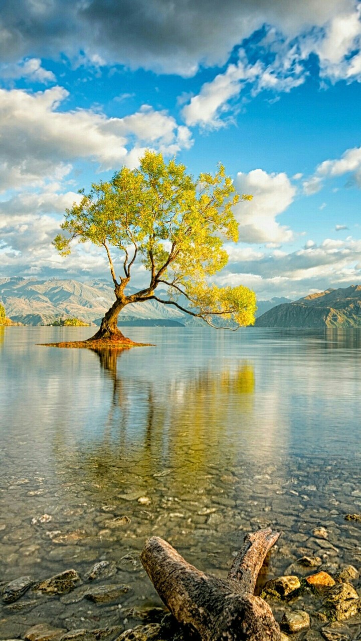 natural