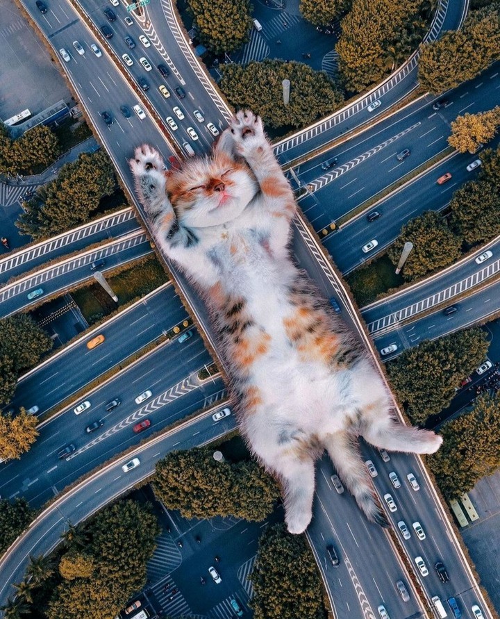 .