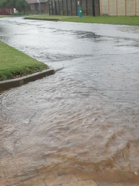 Rain