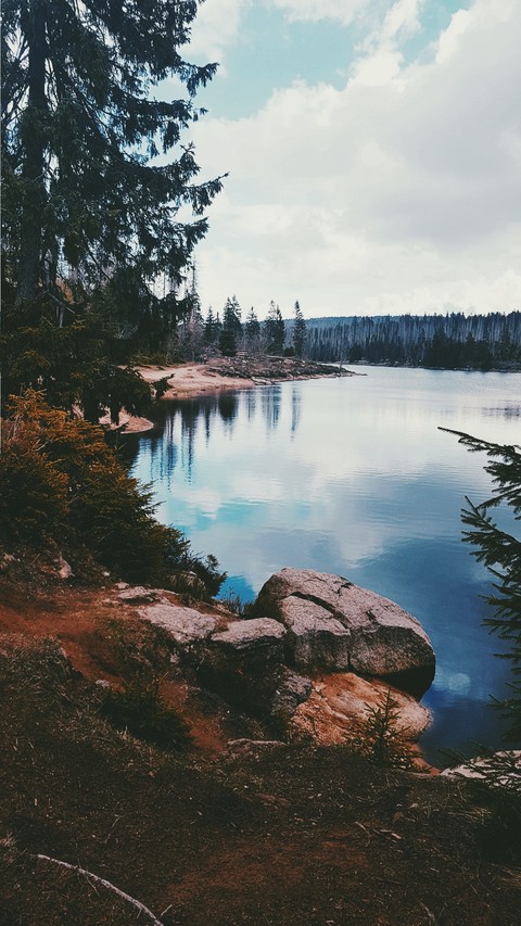 It's pure and wonderful.