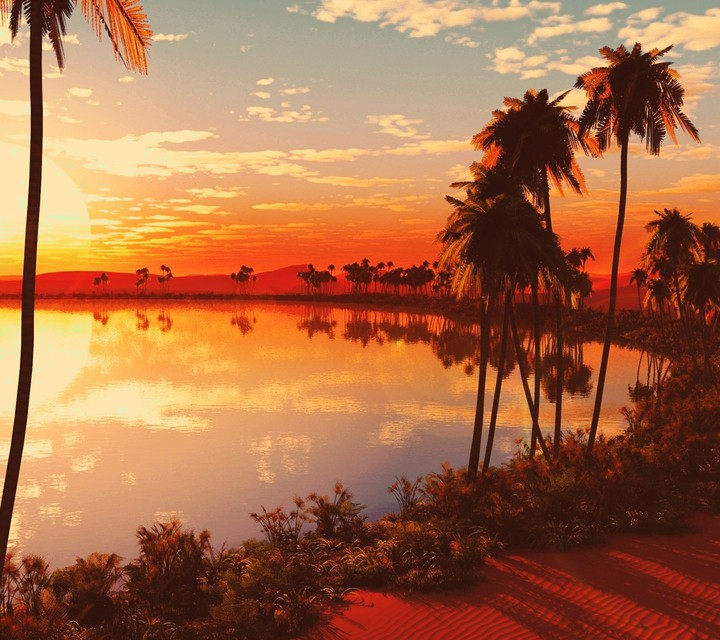 sunset