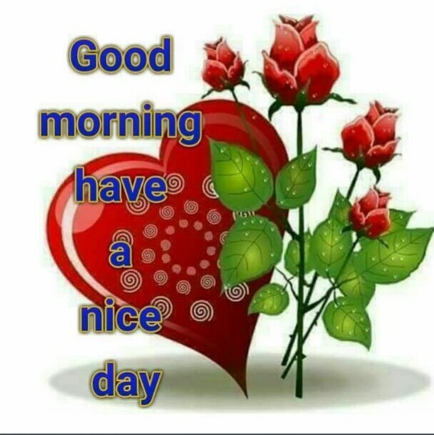 morning
