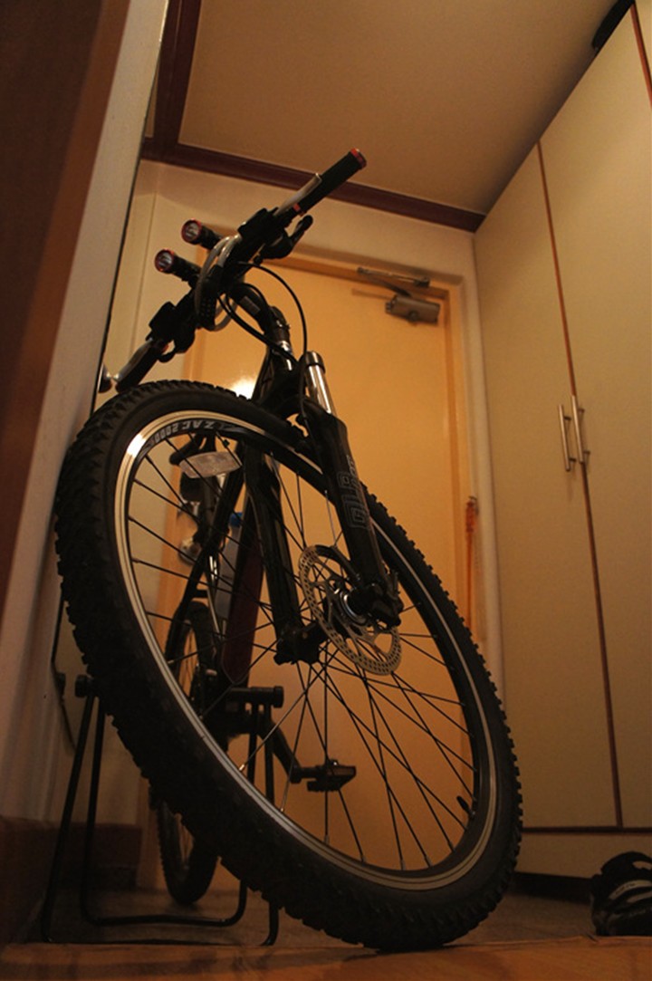 Sport