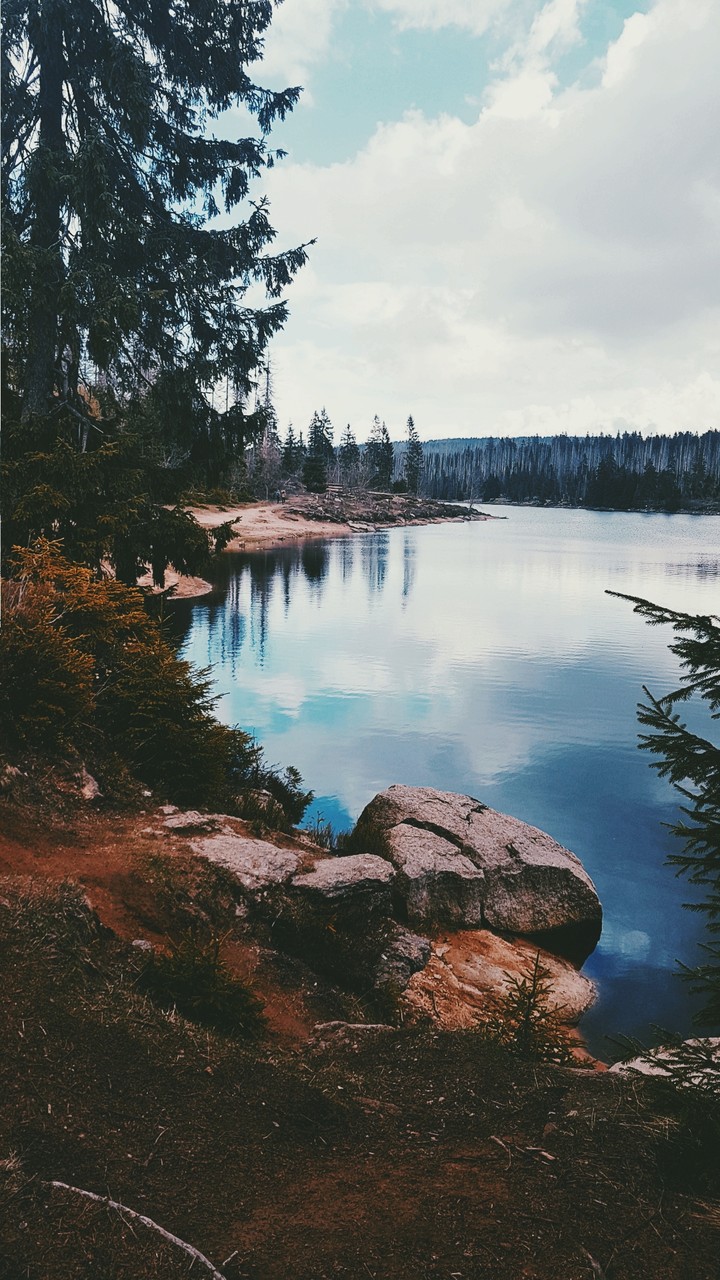 It's pure and wonderful.
