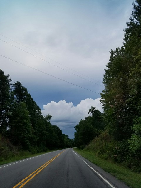 Through the Uwharrie