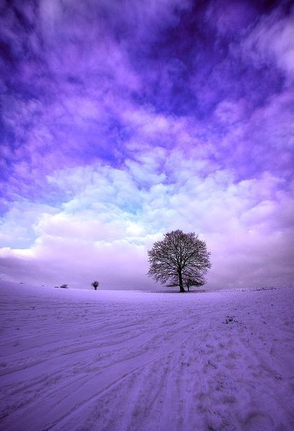 tree