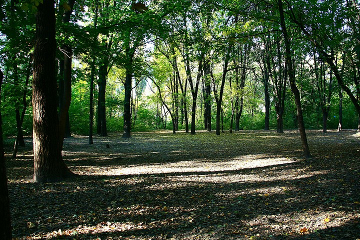 Парк