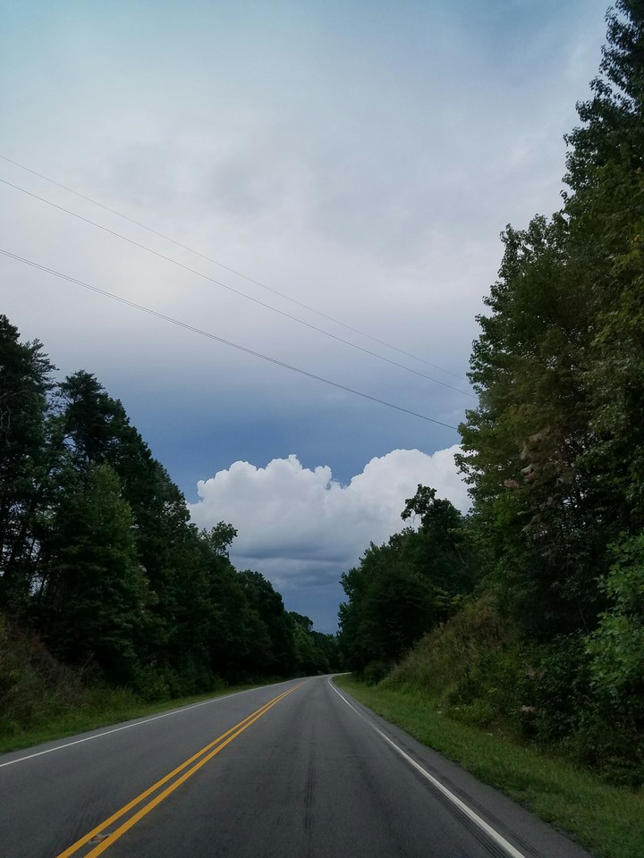 Through the Uwharrie