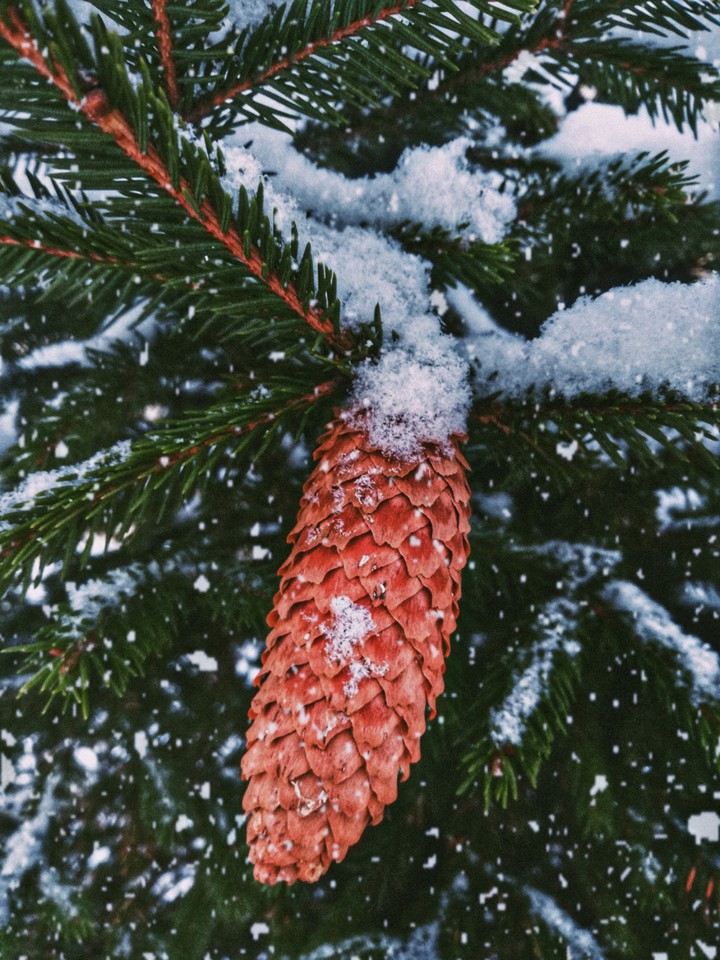 winter