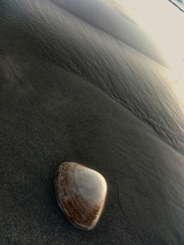 beautiful nature ocean