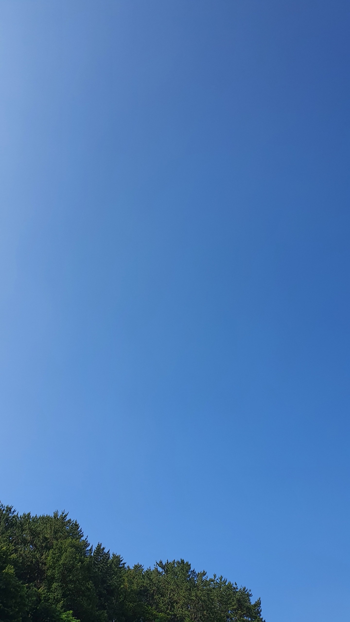 맑음(fine)