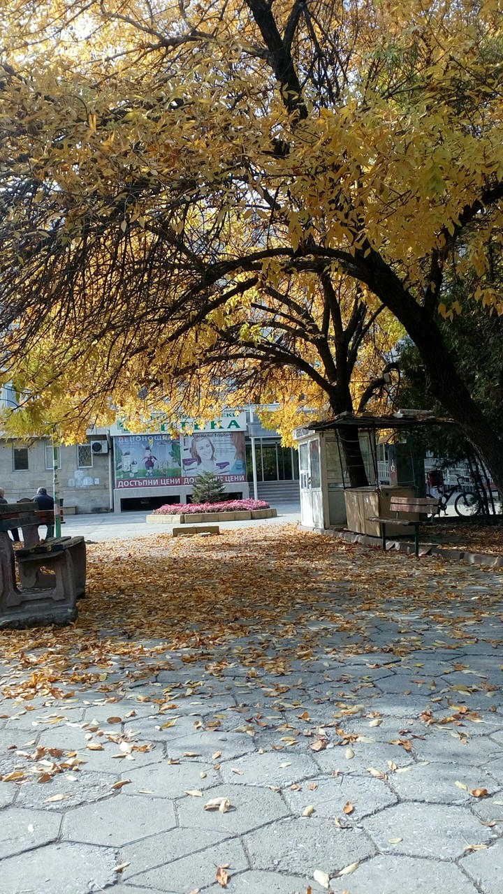 Autumn