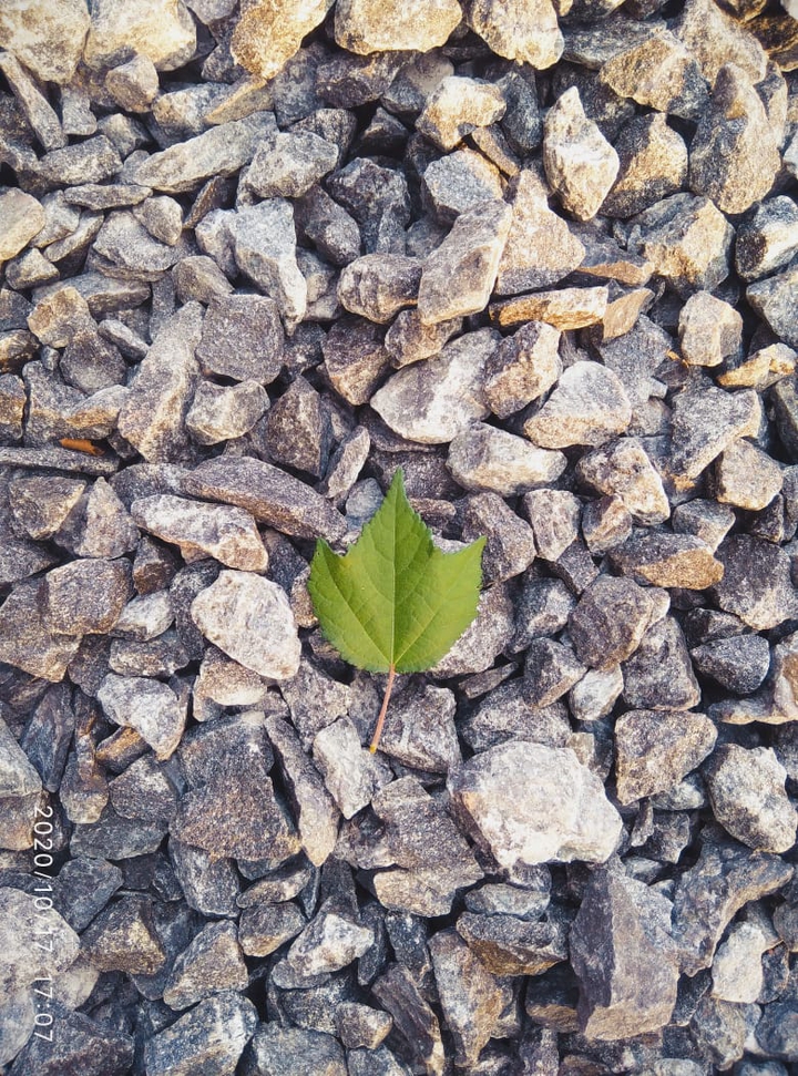 green??