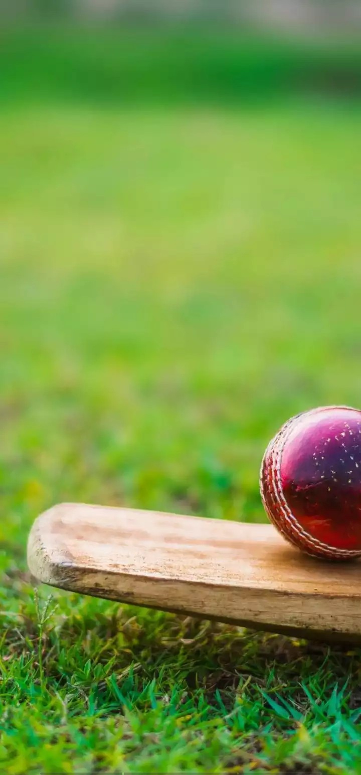 cricket ??