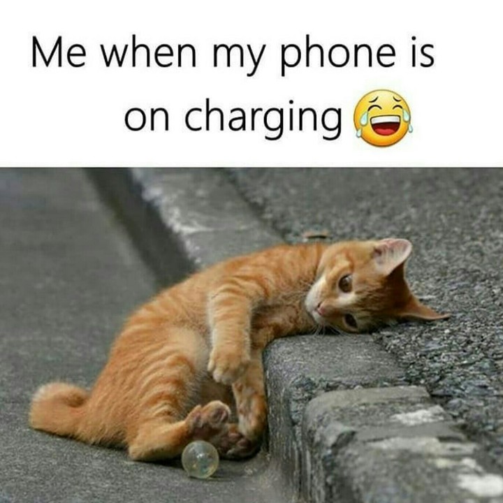 Free Time...