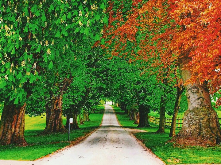Green nature