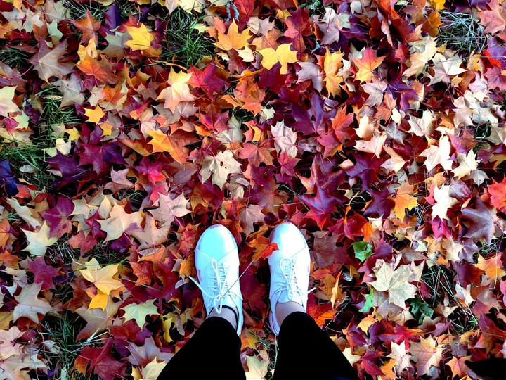fall