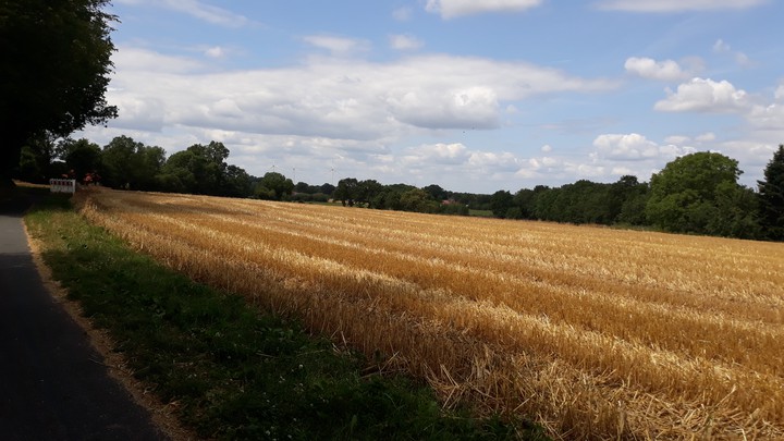 field