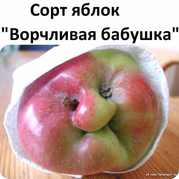 ❤️❤️❤️