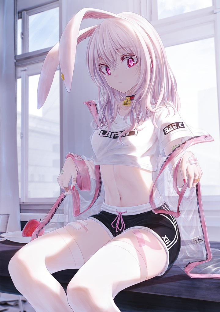 bunny