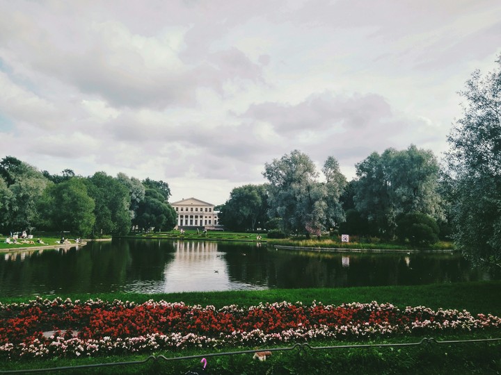 university