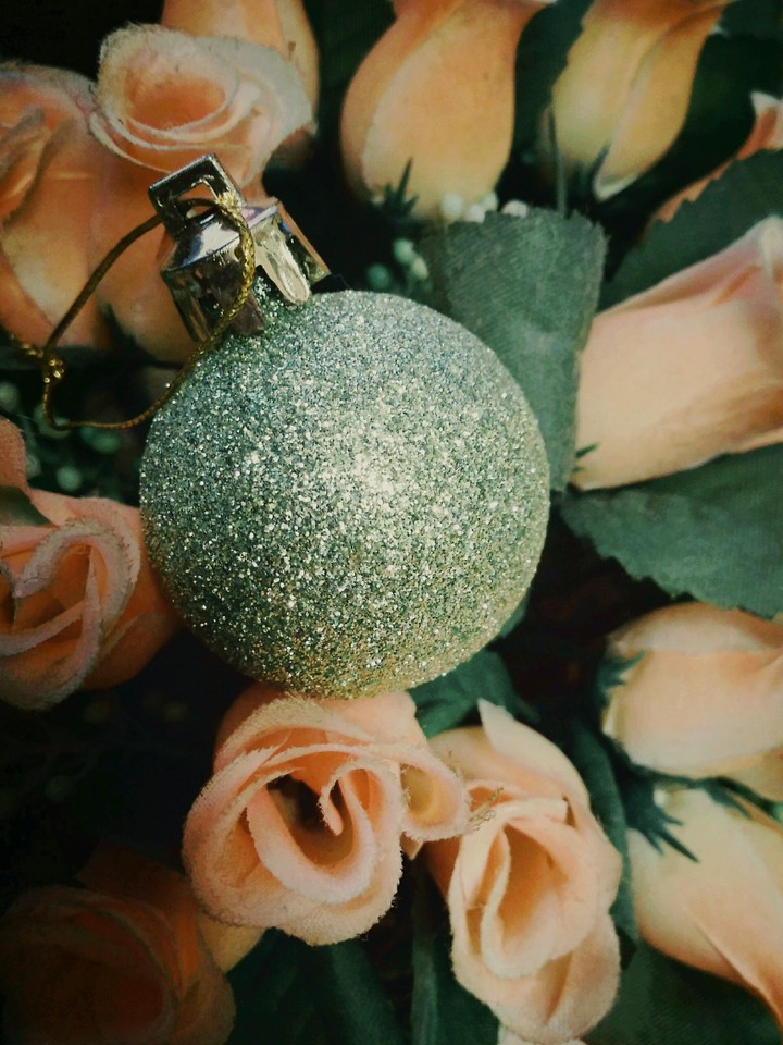 ball in roses