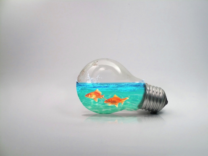 bulb