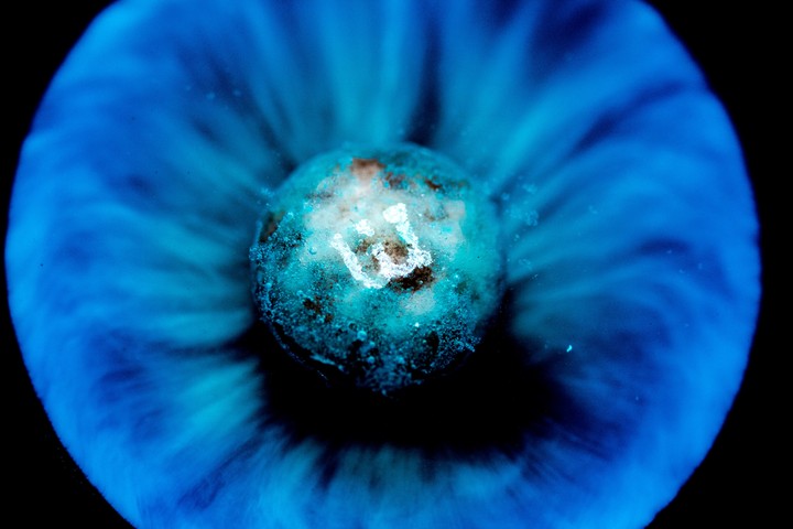 blue