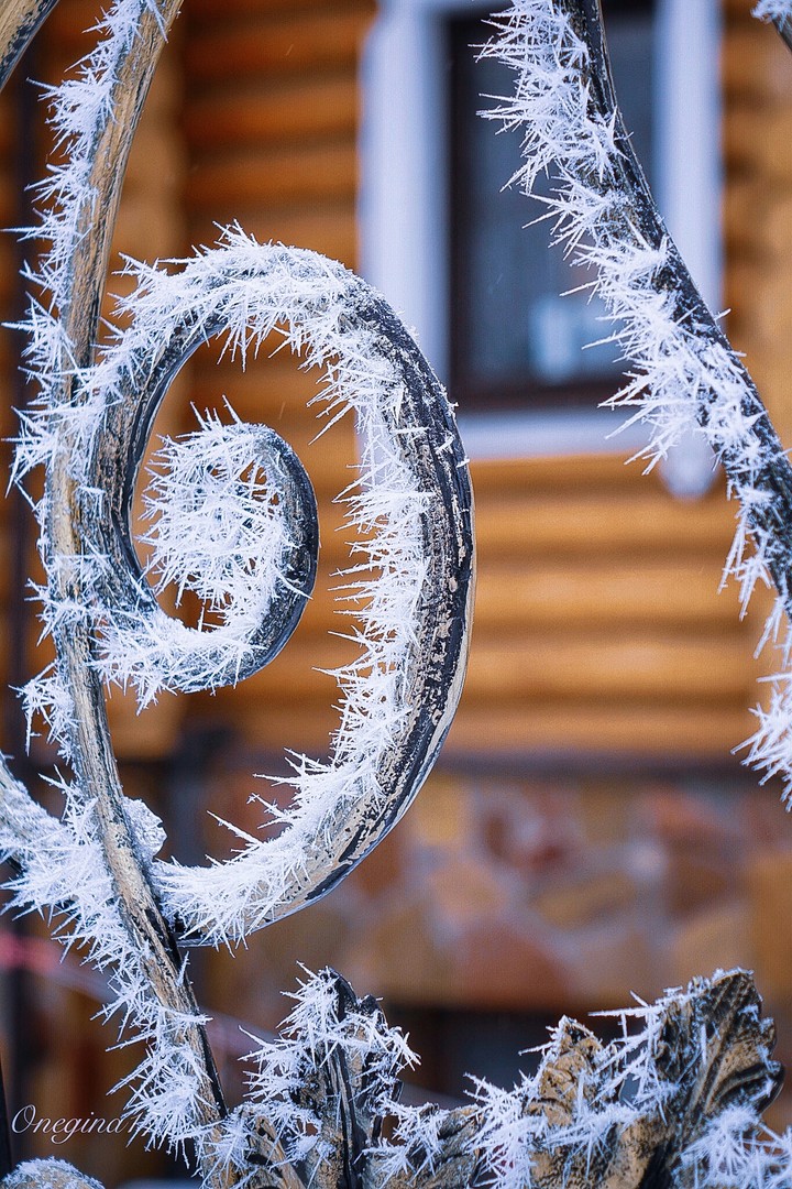 art of winter