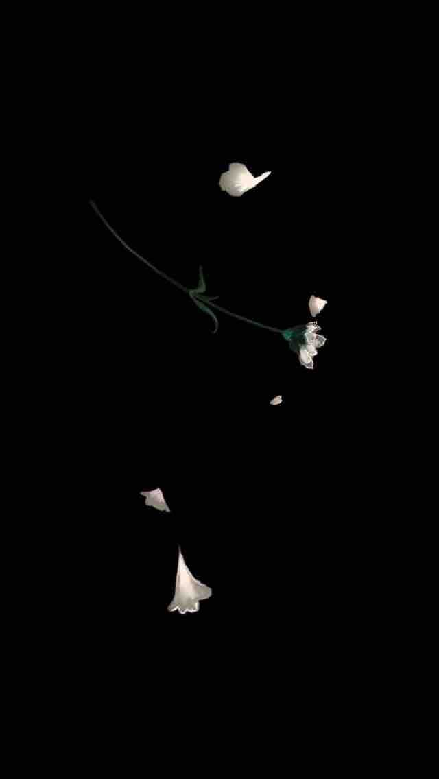 falling flowers
