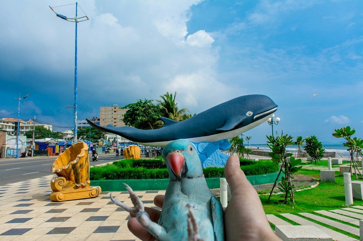 VungTau beach