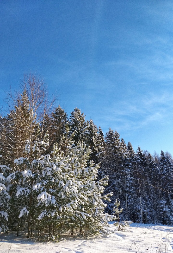 winter