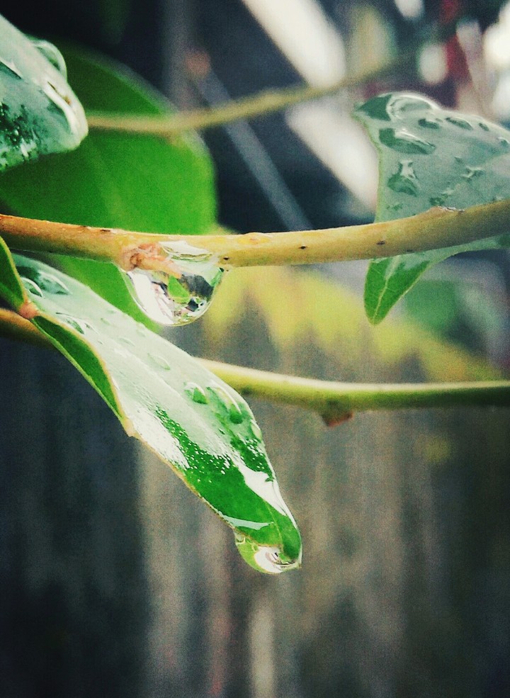 droplet