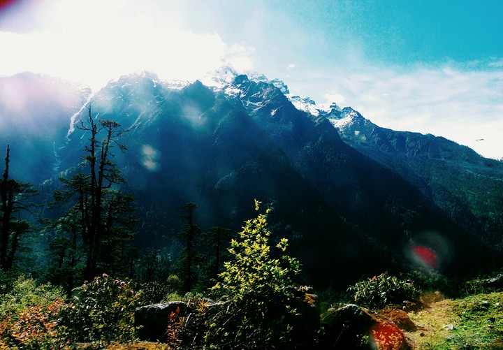 Nature