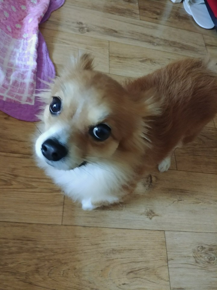 심심해ㅡㅡ
