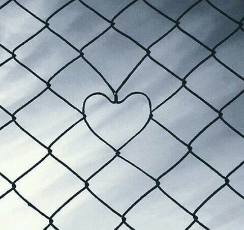 ♡