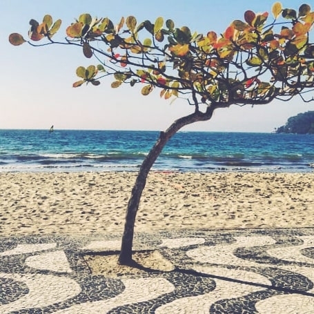 beach