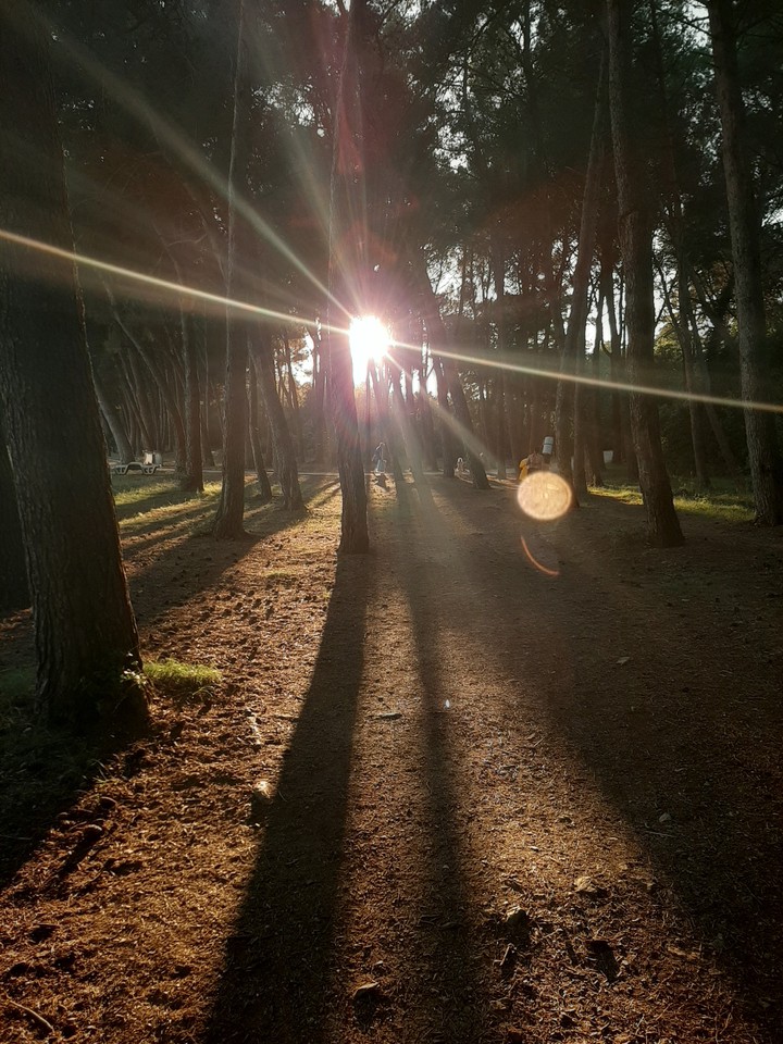ShadowsAndLights