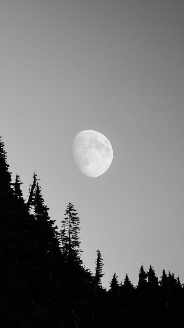 moon