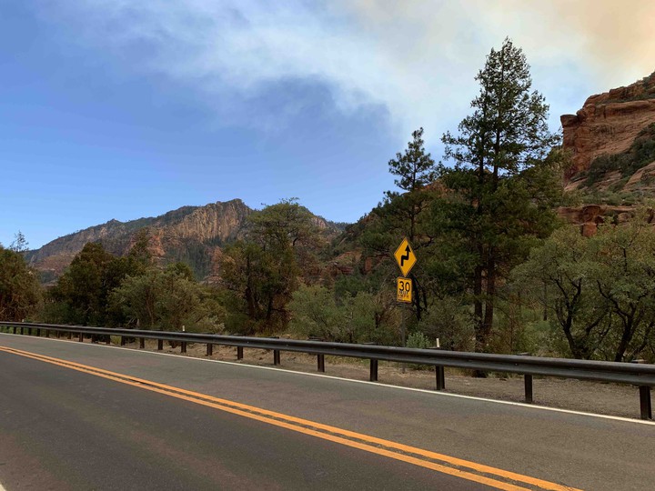 Road next to a forest