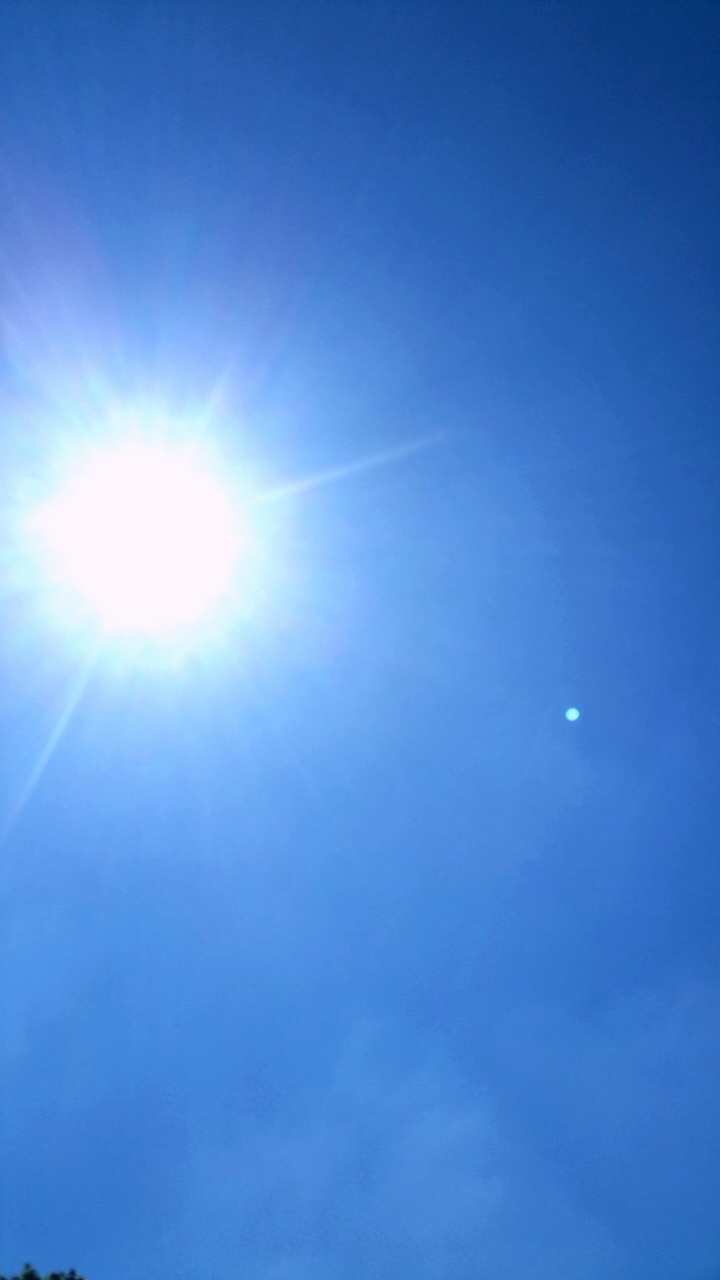 Sonnenschein
