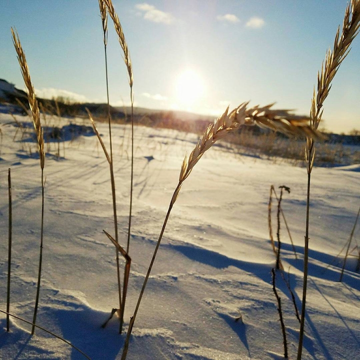 snow times