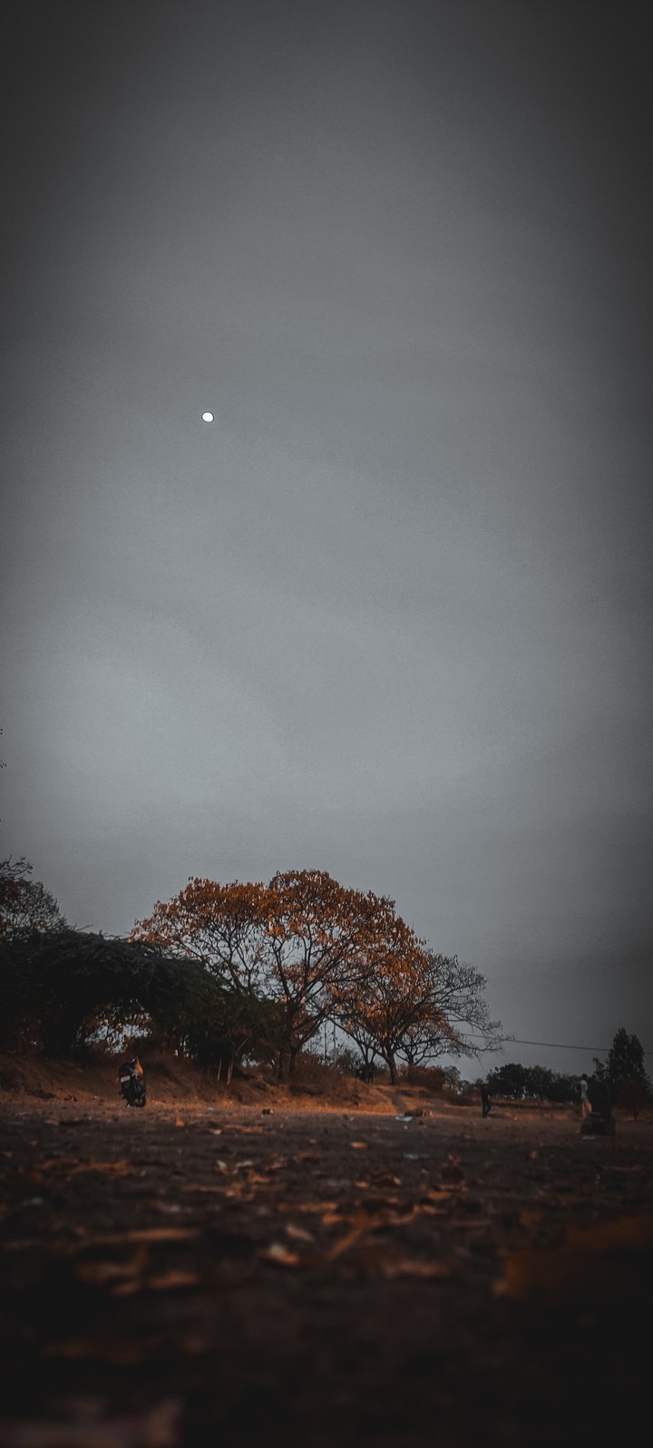nature