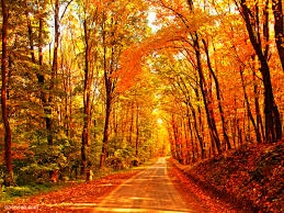 Orange Street