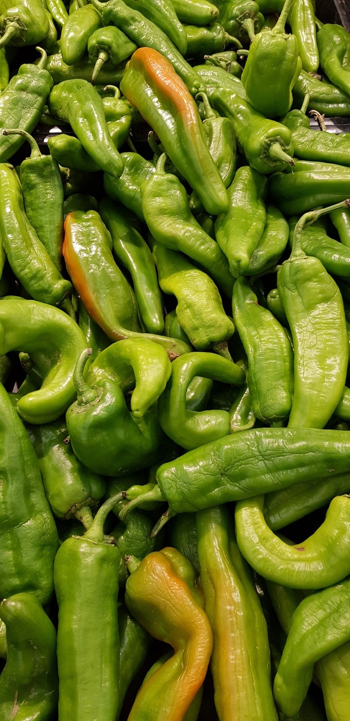 vegetable