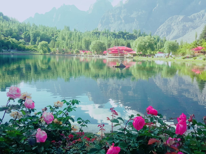 pakistan beauty