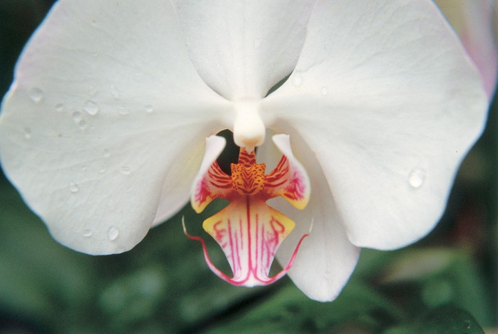 자연이미지
