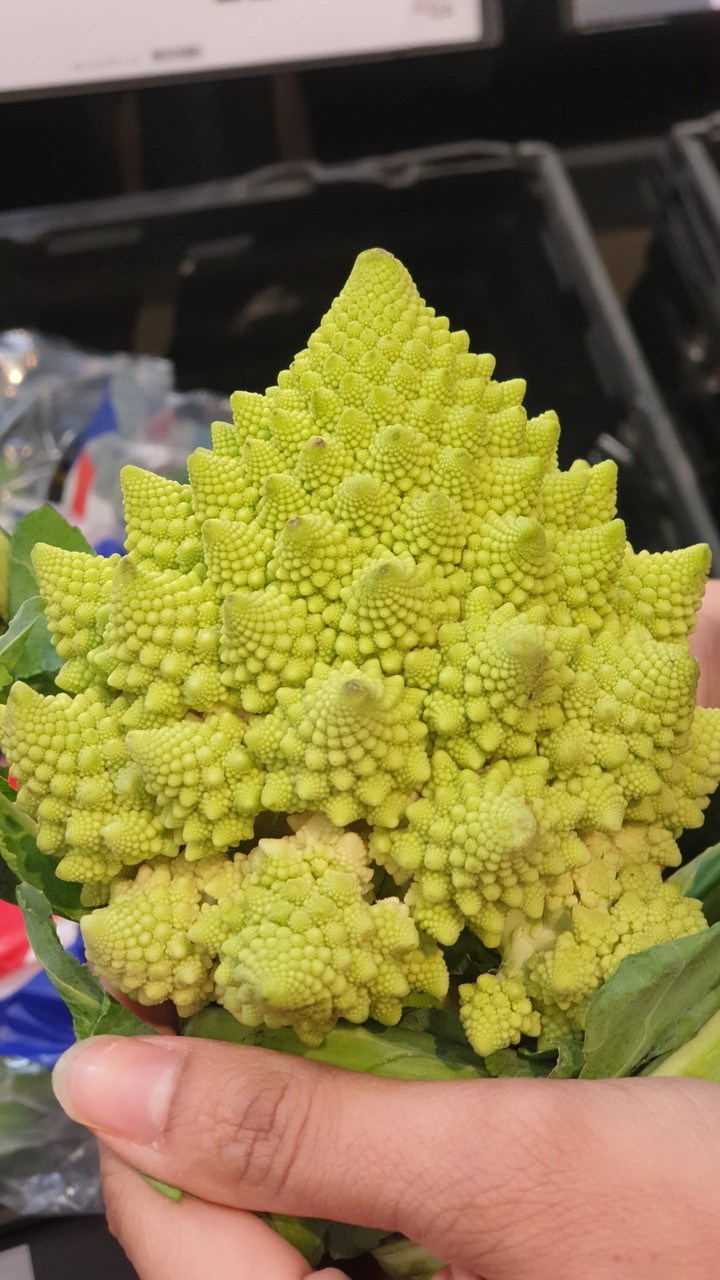 Romanescco Broccoli