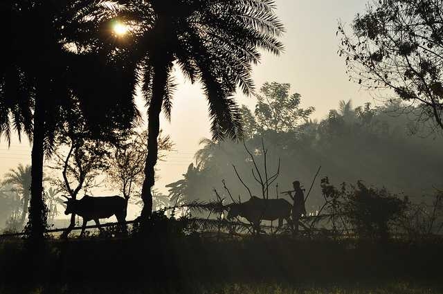 Village life