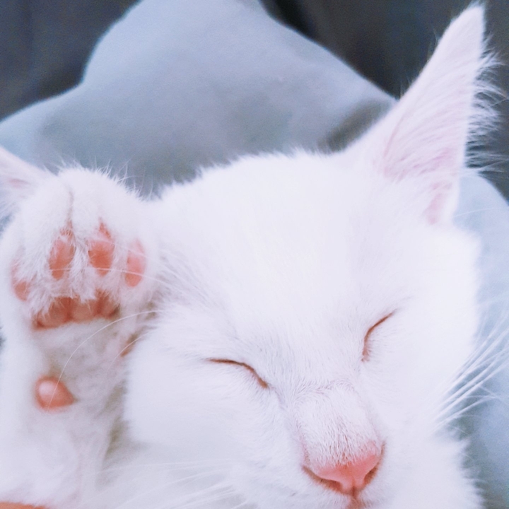 안녕!!